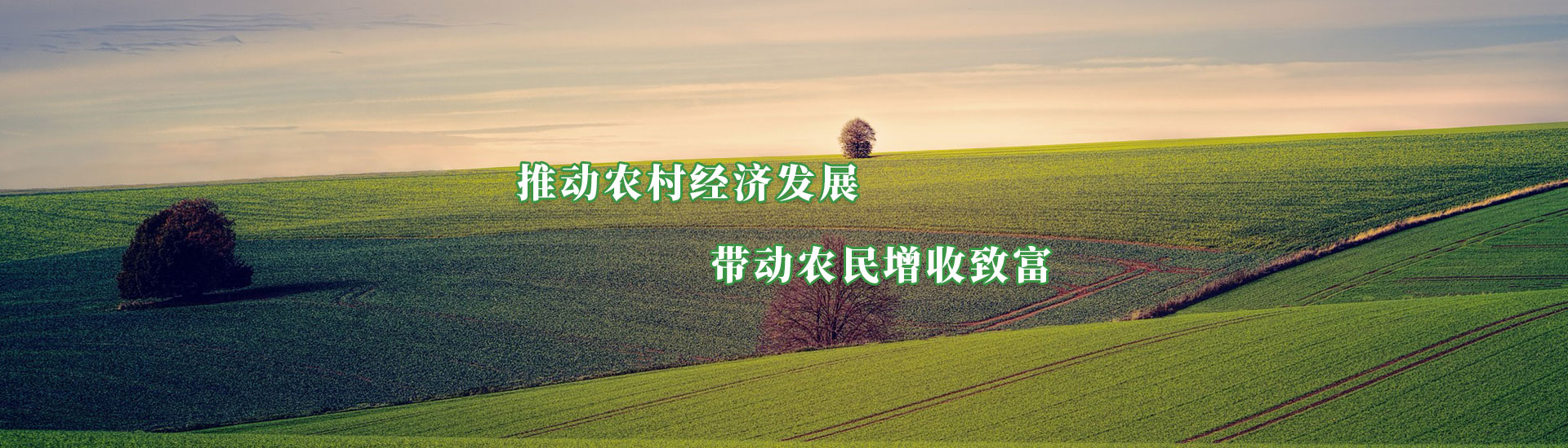 腾博汇游戏官网·(中国)专业服务,诚信为本