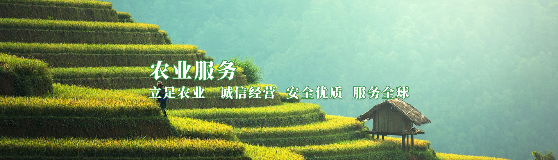 腾博汇游戏官网·(中国)专业服务,诚信为本