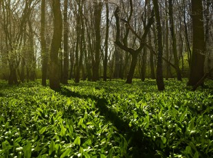 访农户，，，送手艺！ “中国农资”现代农业服务团队助力秋粮生产