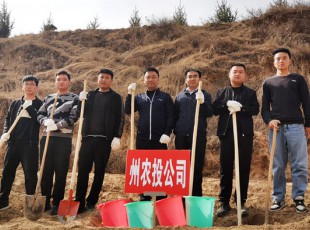 腾博汇游戏官网加入2021年春季义务植树活动